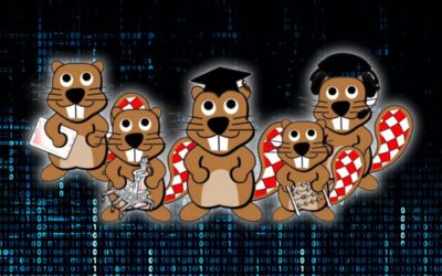 Međunarodno natjecanje Dabar
