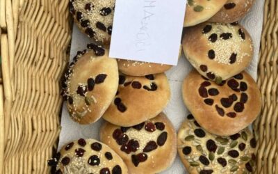 Farma magaraca u Šmriki s prvašićima