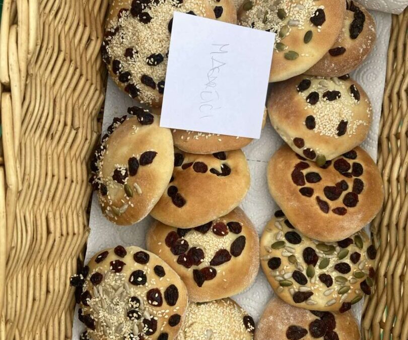 Farma magaraca u Šmriki s prvašićima