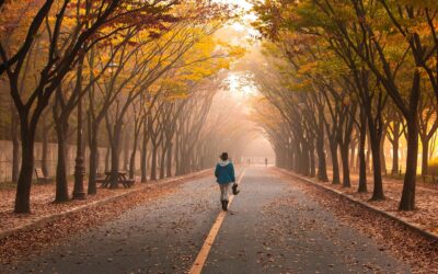 GRIGOR VITEZ  –  115 godina rođenja  (15.2.1911.)